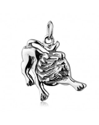 Strieborný prívesok znamenia LEV