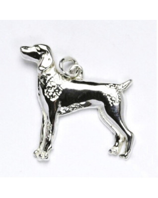 Strieborný prívesok pes stavač