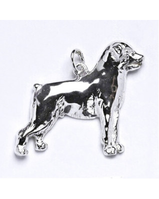 Strieborný prívesok pes rotvajler