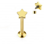 Piercing do brady - labreta pozlátená