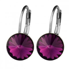 Oceľové náušnice s kryštálmi Swarovski® AMETHYST
