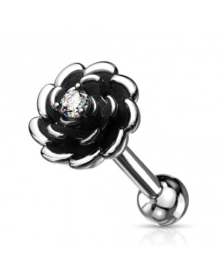 Cartilage piercing do ucha