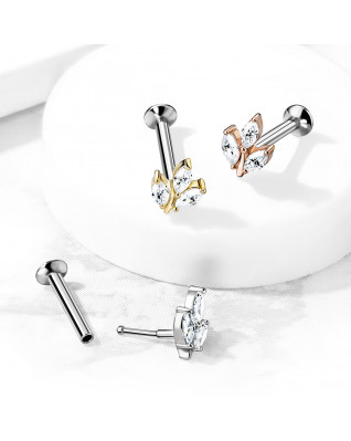 Piercing do brady - lístoček