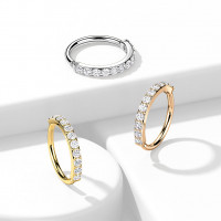 Piercing do nosa / ucha so zirkónmi