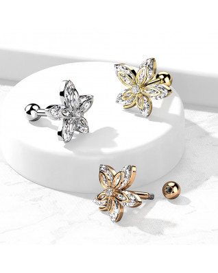 Cartilage piercing do ucha