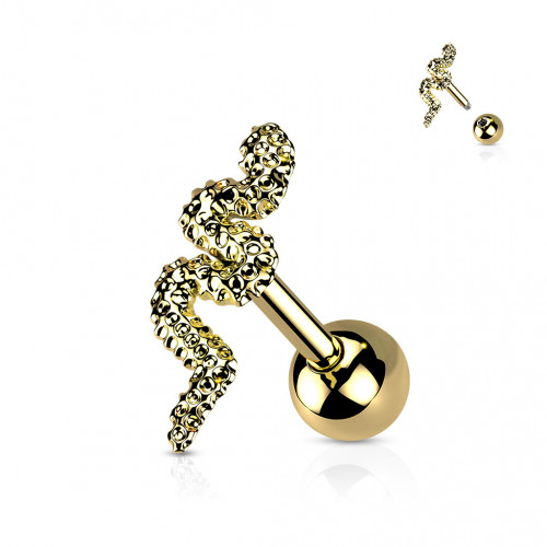 Cartilage piercing do ucha - had pozlátený