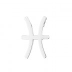 Navliekacia oceľová korálka - znamenie horoskopu