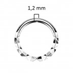 Piercing kruh segment