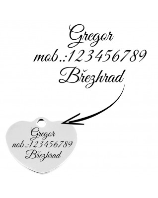 Oceľová psia/mačacia známka srdca