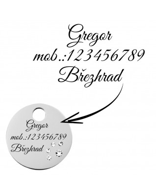 Oceľová psia/mačacia známka so zirkónmi