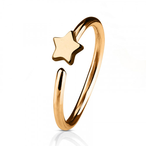Pozlátený piercing do nosa/ucha kruh s hviezdou