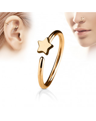 Pozlátený piercing do nosa/ucha kruh s hviezdou