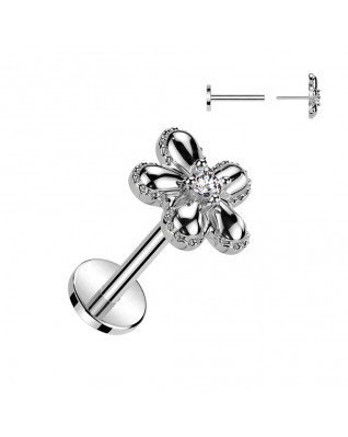 Piercing do brady - PUSH IN labreta