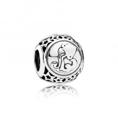 Strieborný prívesok korálek znamení vodnár