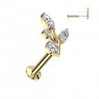 Pozlátený piercing do brady s vetvičkou - PUSH IN labreta