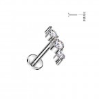 Piercing do brady - PUSH IN labreta