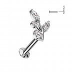 Piercing do brady s vetvičkou - PUSH IN labreta