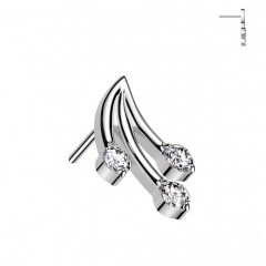 Ozdobná časť k PUSH IN piercingu TITAN, vetvička