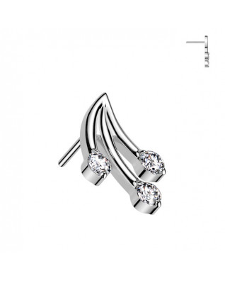 Ozdobná časť k PUSH IN piercingu TITAN, vetvička