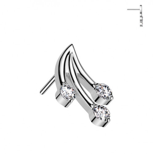 Ozdobná časť k PUSH IN piercingu TITAN, vetvička