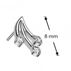 Ozdobná časť k PUSH IN piercingu TITAN, vetvička