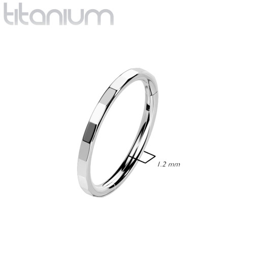 Segment kruh - helix / cartilage / tragus / septum piercing TITAN