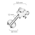 Piercing do brady slon - TITAN