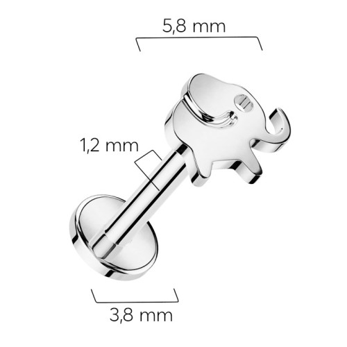 Piercing do brady slon - TITAN