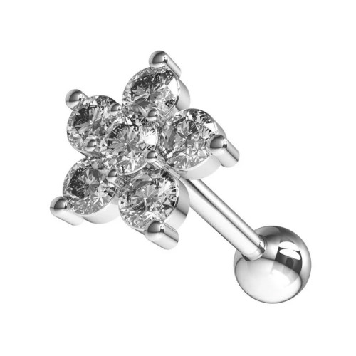 Cartilage piercing do ucha