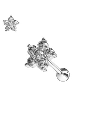 Cartilage piercing do ucha