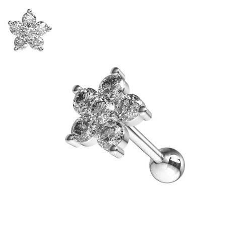 Cartilage piercing do ucha