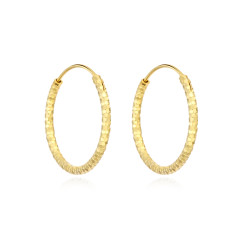 Pozlátené strieborné náušnice kruhy 25 mm