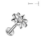Piercing do brady kvietka - PUSH IN labreta TITAN