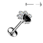 Piercing do brady labka - PUSH IN labreta TITAN