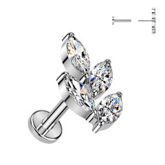 Piercing do brady vetvička - PUSH IN labreta TITAN