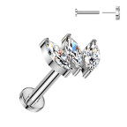 Piercing do brady - PUSH IN labreta TITAN