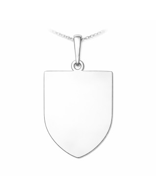 Strieborný prívesok český lev